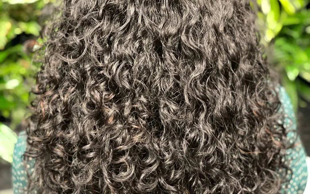 Back view of long, thick naturally curly hair featuring ultra-dense brunette ringlets and subtle warm copper highlights, styled at Sunday Salon in Raleigh, NC.