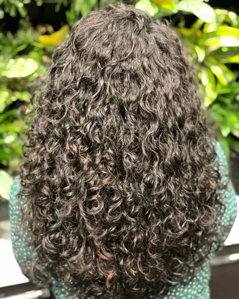 Back view of long, thick naturally curly hair featuring ultra-dense brunette ringlets and subtle warm copper highlights, styled at Sunday Salon in Raleigh, NC.
