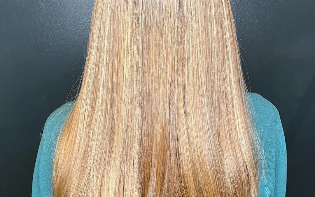Back view of a woman with long, thick, straight hair featuring finely woven warm honey and golden blonde highlights, styled sleek at Sunday Salon in Raleigh, NC.