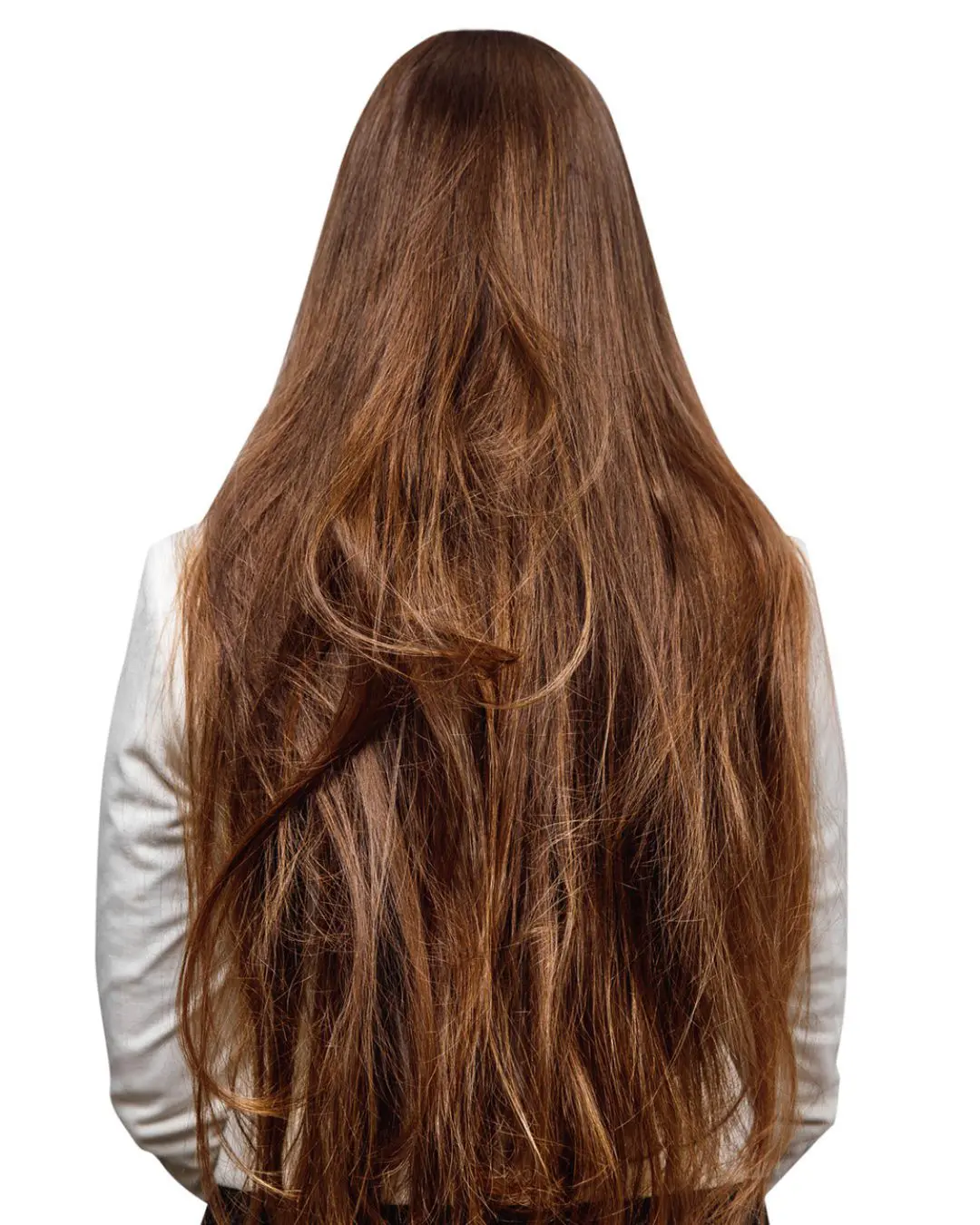 Everything You Need To Know About Keratin Treatments Portfolio 2 Before 1080 x 1350 A person with long, straight, brown hair is shown from the back against a plain white background. They are wearing a white top, perfect for showcasing styles crafted at the best hair salon Cary NC has to offer.