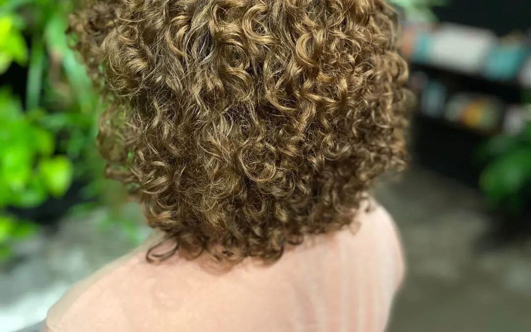 Back view of a woman with a shoulder-length curly bob featuring perfectly defined natural ringlets and a dimensional golden caramel bronde color, styled at Sunday Salon in Raleigh, NC.