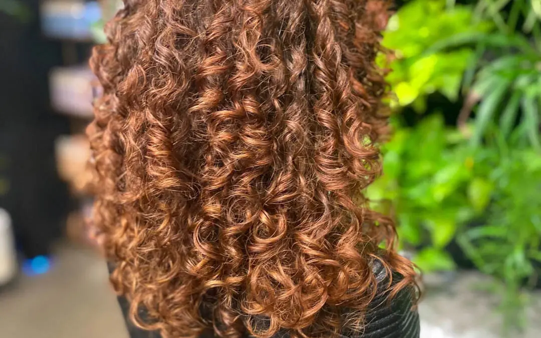 Back view of a client with defined medium-long natural curls featuring dimensional warm copper and auburn highlights, expertly styled at Sunday Salon in Raleigh, NC.