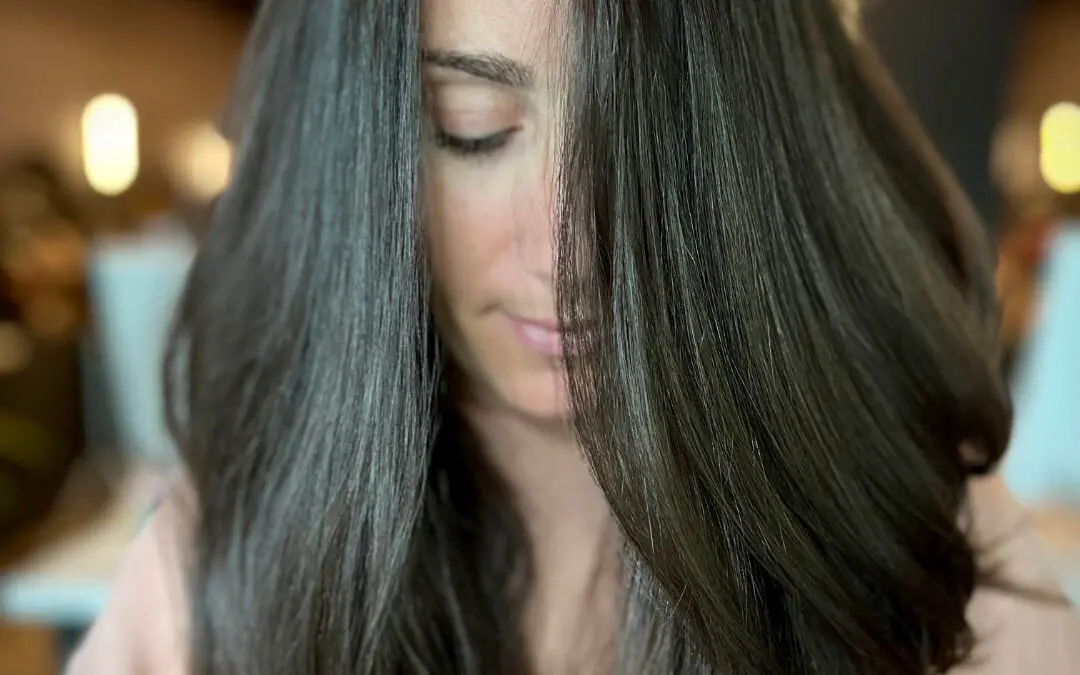 Client with long, glossy espresso dark brunette hair showcasing sweeping face-framing layers styled in a voluminous soft blowout at Sunday Salon in Raleigh, NC.