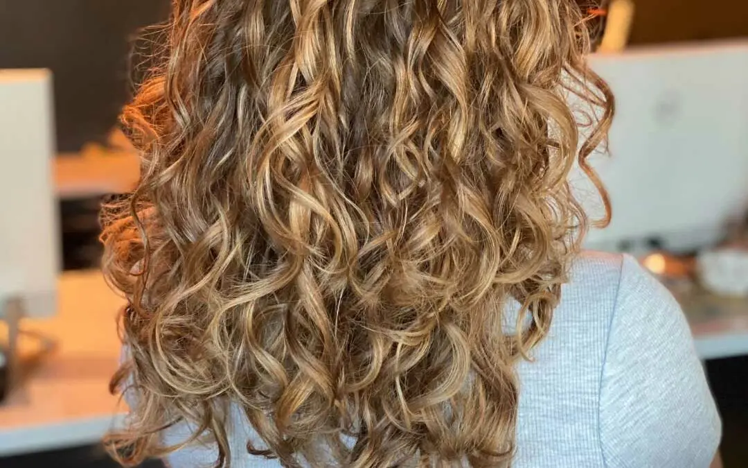 Back view of a client with mid-back length defined curly hair featuring dimensional honey blonde and caramel highlights created at Sunday Salon in Raleigh.