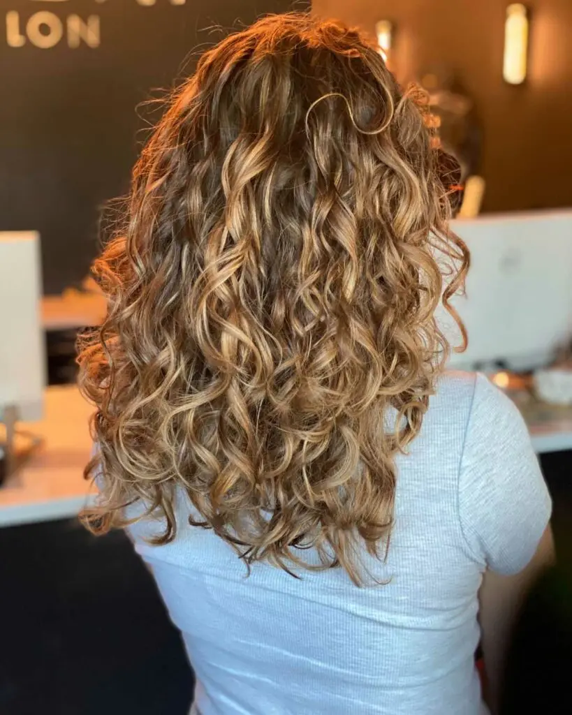 Back view of a client with mid-back length defined curly hair featuring dimensional honey blonde and caramel highlights created at Sunday Salon in Raleigh.
