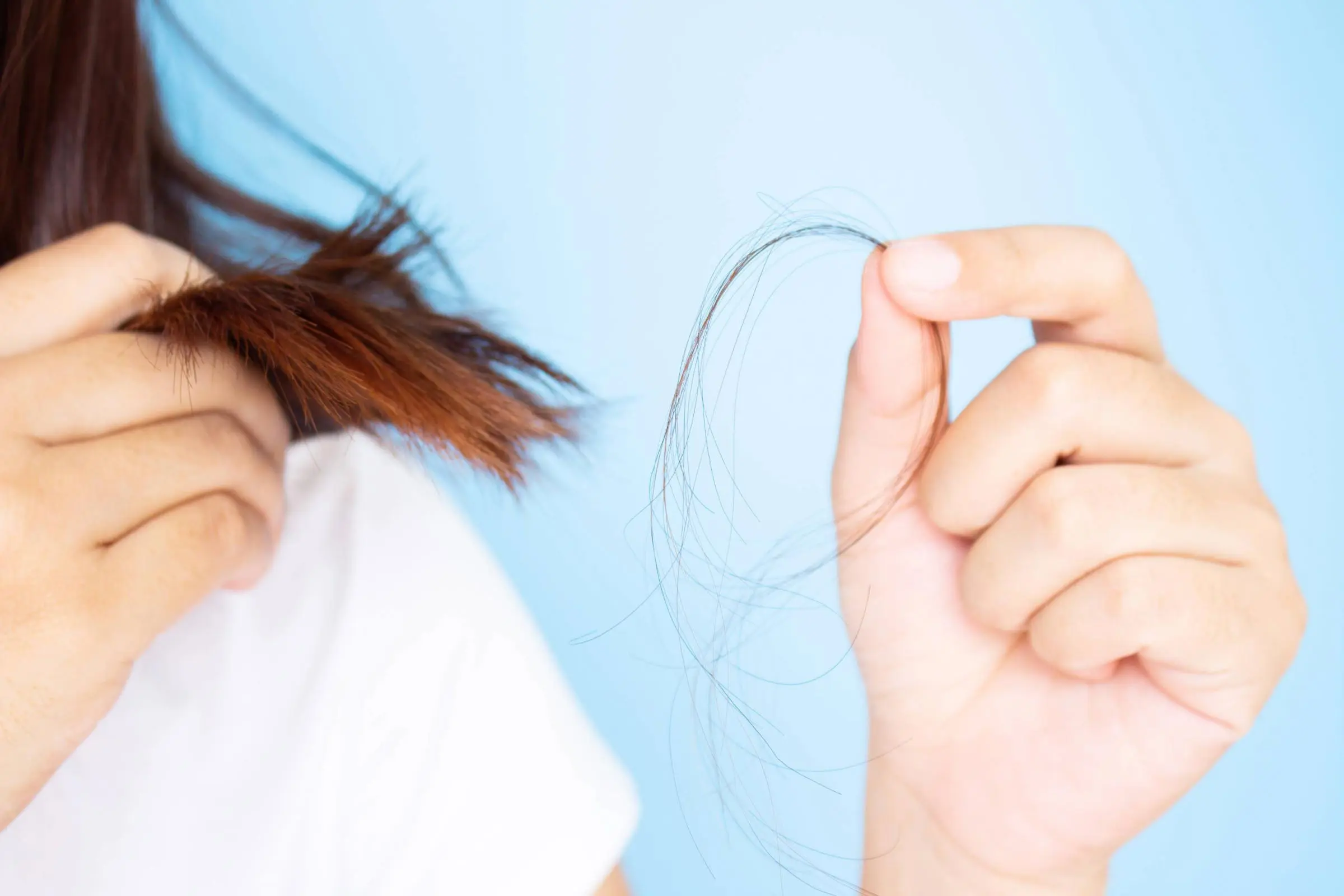 A person holding a clump of fallen hair in one hand and touching the ends of their brown hair with the other, against a light blue background, raising awareness for Hair Loss Awareness Month.
