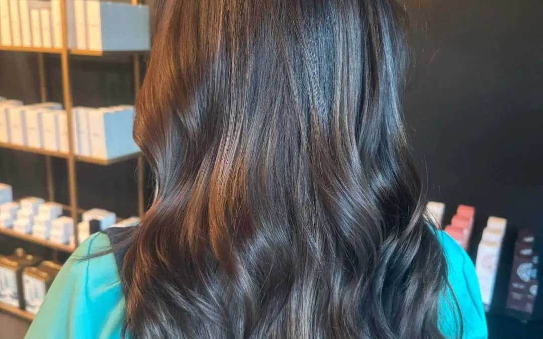 A client with long, beautifully glossy espresso brown hair featuring delicate caramel ribbons and styled in smooth, polished waves, created at Sunday Salon in Raleigh.