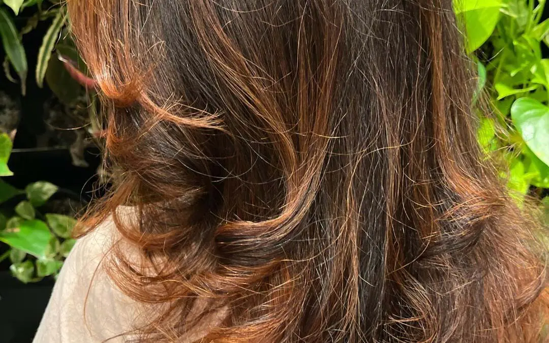 The back of a client's hair at Sunday Salon in Raleigh, displaying a stunning mid-length cut with dynamic, flipped layers. The rich espresso brunette base is beautifully illuminated by hand-painted, vibrant copper and warm auburn balayage highlights. The hair is styled with a glossy finish, showcasing incredible bounce, texture, and multi-dimensional warmth against a background of green foliage.