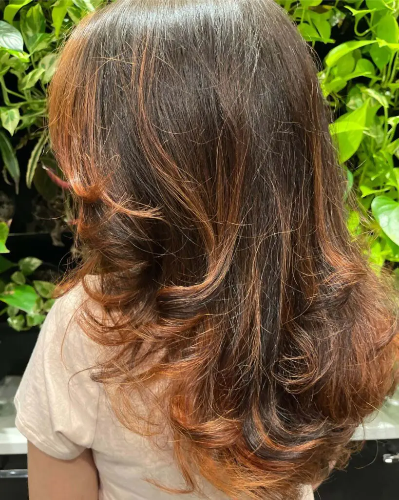 The back of a client's hair at Sunday Salon in Raleigh, displaying a stunning mid-length cut with dynamic, flipped layers. The rich espresso brunette base is beautifully illuminated by hand-painted, vibrant copper and warm auburn balayage highlights. The hair is styled with a glossy finish, showcasing incredible bounce, texture, and multi-dimensional warmth against a background of green foliage.