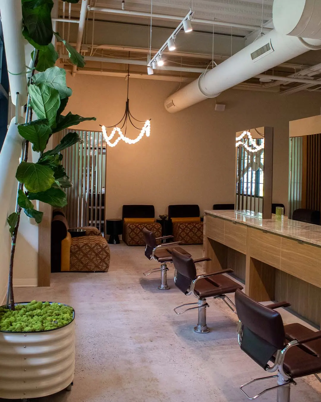 color room image 3 An interior view of a hair salon featuring a row of styling chairs, mirrors, and a potted fiddle-leaf fig tree.