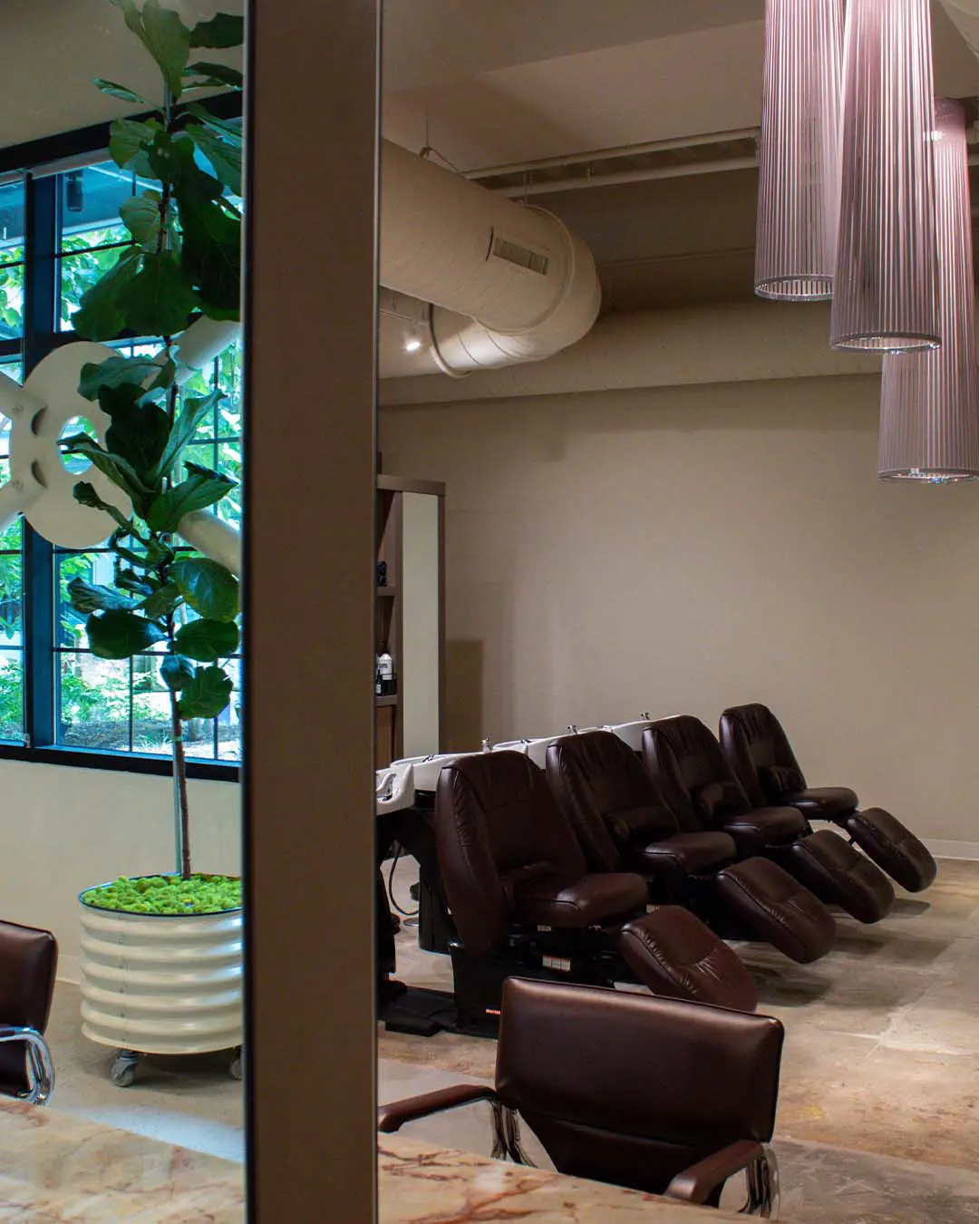 color room image 4 A row of brown reclining salon chairs next to a large potted plant in a studio space with hanging lights.