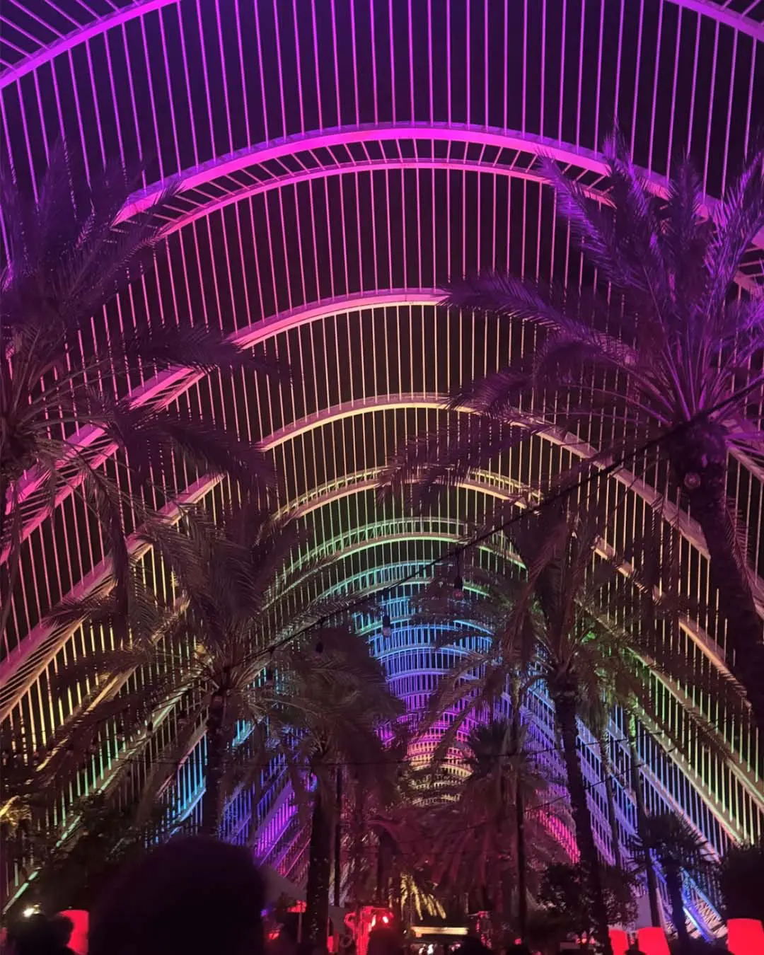 davines-europe-7 Palm trees line a walkway under a high, arched metal canopy illuminated with vibrant purple, blue, and green neon lights.